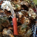 Нож Opinel Oysters 09 для устриц, нержавеющая сталь, падук
