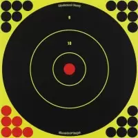 Мишень бумажная Birchwood Shoot N C Bull's-eye Target 300мм 50шт