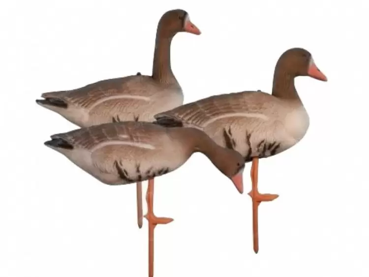 Чучело белолобого гуся складное на опоре, комплект Birdland