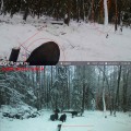 Фотоловушка Егерькам Снайпер 2.0 LTE, 4G, обновленное ПО, русифицирована