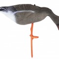 Чучело гуся гуменника складное на опоре, комплект Birdland