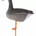 Чучело гуся гуменника складное на опоре, комплект Birdland