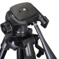 Штатив Levenhuk Level BASE TR40