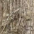 Камуфляжная лента многоразовая McNett цвет Max 5 Realtree