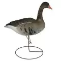 Комплект чучалок Tanglefree Specklebelly Geese белолобых гусей (4 сторожевых, 2 отдыхающих)