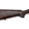 Приклад Armsan MMXVI Bronze