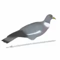 Лесной голубь Sport Plast