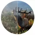 Бинокль Swarovski EL 8,5x42 WB Swarovision