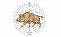 Мишень для пневматики на 25 м, рисунок " Кабан " (50 шт/уп) 