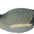 Birdland гусь гуменник плавающий 7351