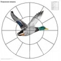 Мишень для пристрелки дробовых ружей 16-дольная (100 шт/уп) (820х820 мм)