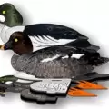Комплект чучел гоголя NRA FUD Goldeneye (Гоголь)