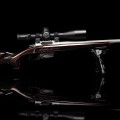 Винтовка BespokeGun Elegance Hunter