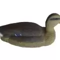 Чучело кряква плавающая большая (утка) Birdland