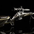 Винтовка BespokeGun Elegance Sport