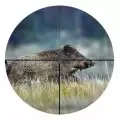 Оптический прицел Dedal DH 1-7x24