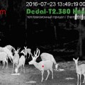 Тепловизионный бинокль Dedal Tracker-T2.380