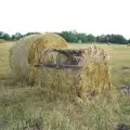 Засидка Ameristep на гуся