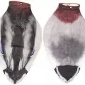 Комплект Deadly Decoys чучел кряквы с пластиковыми головами, 12 шт.