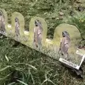 Мишень фигурная для стрельбы Сурок-4
