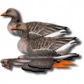 Комплект чучел гусей NRA FUD Greylag (Серый)