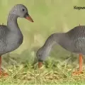 Гусь гуменник Sport Plast на опоре