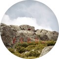 Лазерный дальномер LEICA RANGEMASTER CRF 2800.COM