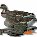 Комплект чучел гусей NRA FUD White Front (Белолобый)