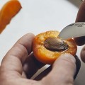 Нож Opinel серии Nomad Cooking N°07 Chestnut