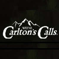 Wayne Carlton’s Сalls